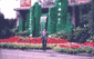 t13.gif (2281 bytes)