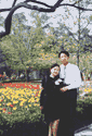 t26.gif (4995 bytes)